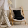 JIAHANNHA Velvet Black Throw Pillow Covers Pack of 2 Decorative