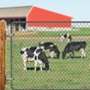 Insaga Cast Gate Hinges Heavy Duty, 304 Stainless Steel Wall