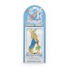 Peter Rabbit Magnetic List Pad - Forest Picnic Design