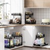 Under Sink Organizer Kitchen - Bathroom Organizers and Storage 2