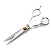 Professional Hair Cutting Scissors, 5.5 Inches, Hairdressing Scissors, Salon Quality