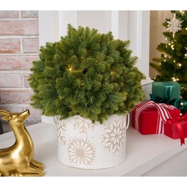 QVC Bethlehem Lights 15" Sphere with 3-in-1 Micro LEDs - Color: Snow Kissed