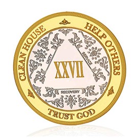 MyRecoveryStore Silver&Gold 1-50 Years Alcoholics Anonymous Medallion AA Coin Capsule Included (Year 27)