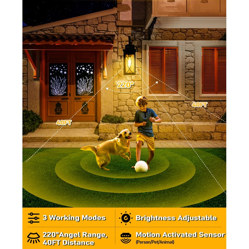 DBF Dusk to Dawn Motion Sensor Outdoor Lights 17.5 Inch,