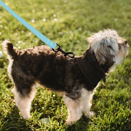 Mile High Life Heavy Duty Dog Leash with Metal Sturdy Clasp and Genuine Leather Connection, Strong Dog Rope Leash for Medium and Large Dogs, Puppy Leash for Training Running and Walking, Navy Blue