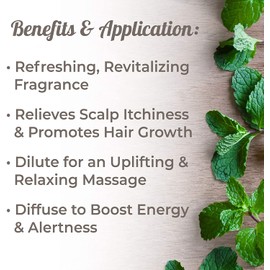 Plant Therapy Peppermint Essential Oil 100% Pure, Undiluted, Natural Aromatherapy, Therapeutic Grade 10 mL (1/3 oz)