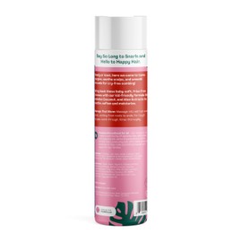 Hello Bello Kid’s Conditioner, Hypoallergenic, pH-Balanced and Dermatologist-Tested, Watermelon, 10 Fl Oz (1 Pack)