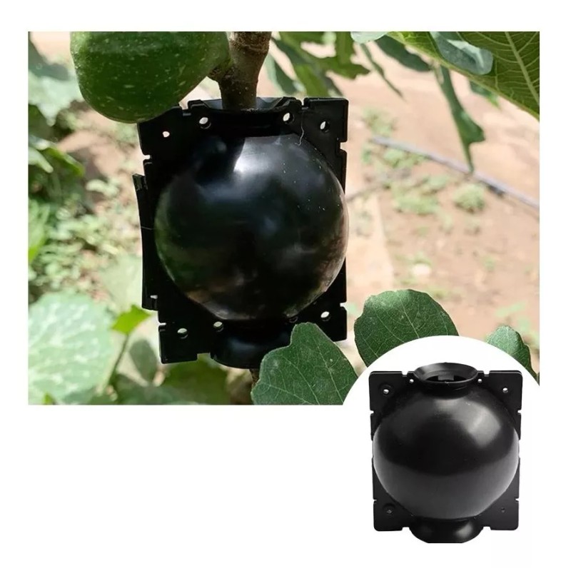 DECOMPRASMEXICO Planta Enraizamiento Dispositivo Bola De Enraizamiento 8cm