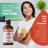 Yucca Tincture, Organic Yucca Extract (Yucca Glauca) Dried Root Herbal