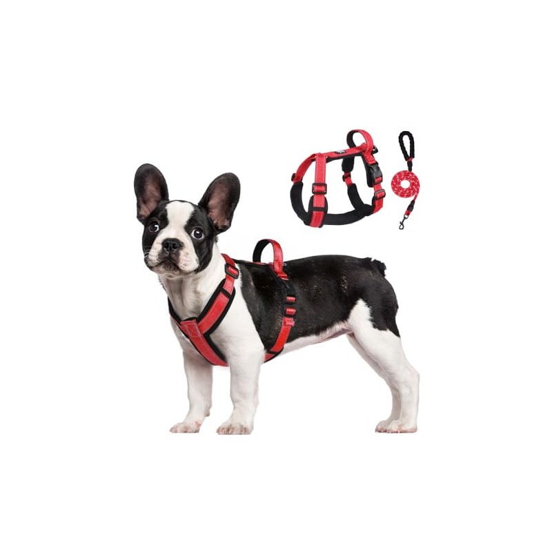 Arnés para Perros Reflectante y Transpirable - Correa de Pecho