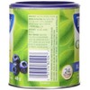 Tetley Blueberry Green Tea - 24 Tea Bags, 48 Grams,