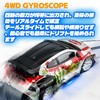 HSTAR 1:24 Drift Car, D24, 4WD, Gyro Sensitivity Adjustment, 25KM/H,