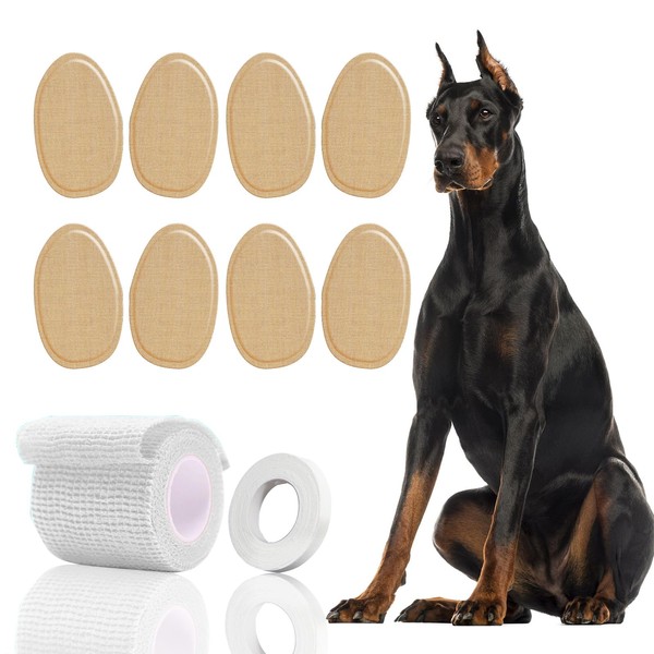 ZZBUY 4 Sets Dog Ear Stand Sticker Up Support Tool,