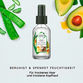 Herbal Essences PURE:renew Scalp & Hair Oil with Aloe + Avocado Oil, Hair Care Shine, Hair Care Dry Hair, Aloe Vera Hair, Cruelty-Free, 100 ml
