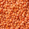 Organic Whole Red Lentils Dry (2)