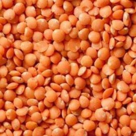 Organic Whole Red Lentils Dry (2)