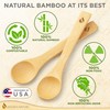 Golden Nature Bamboo Spoon Set (5 Pc), Small Kitchen Teaspoons,