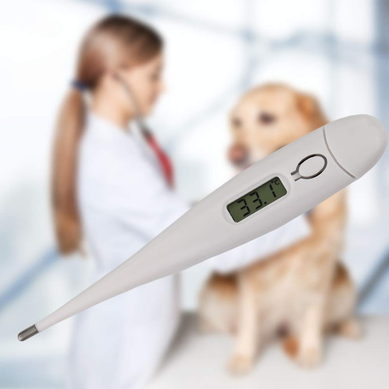 Pet Thermometer For Animal Owners of Dogs Cats Horses Vets