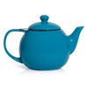 Sweese Teapot, Porcelain Tea Pot with Stainless Steel Infuser, Blooming