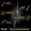 TOLESA Countersink Drill Bit Set, 18 PCS Tapered Counter Sink