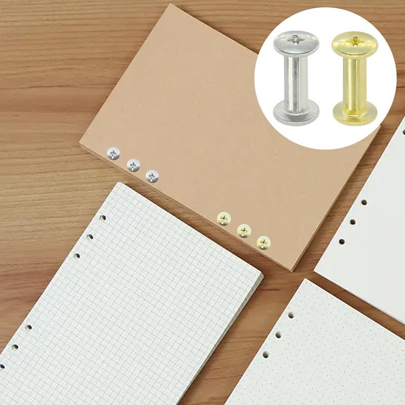 100 Sets Chicago Screws,Leather Rivets Sets with Five Sizes (Silver)