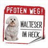 siviwonder Malta's Paws Path Small Car Dog Sticker Reflective Sticker