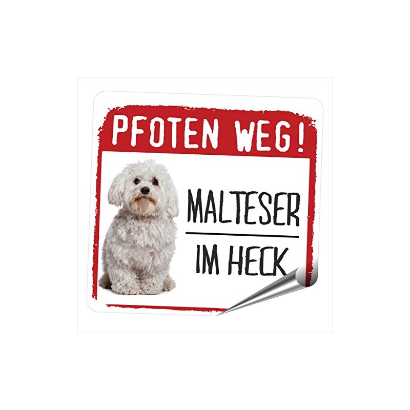 siviwonder Malta's Paws Path Small Car Dog Sticker Reflective Sticker