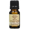 Vanilla Essential Oil - 10ml Great Scent for The spa