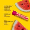 Burt's Bees 100% Natural Origin Moisturising Lip Balm, Watermelon, 4