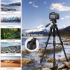JOILCAN Tripod Camera Tripods, 74" Tripod for Camera Phone Video