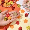 SUNNYCLUE 60G Plastic Confetti,Fall Confetti Maple Leaf Sequin Red Orange