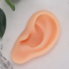 Professional Simulated Ear Model Acupuncture Practice Massage Teaching ToolLeft