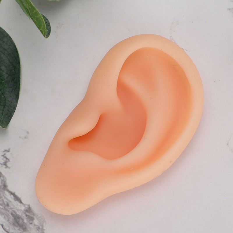 Professional Simulated Ear Model Acupuncture Practice Massage Teaching ToolLeft