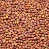 Brown Small Peas (Brown Chori) 500g
