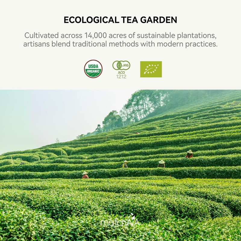 MatchAiA Organic Matcha Green Tea Powder - Premium Culinary Grade,