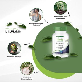 Fairvital L-Glutamine Capsules 750 mg – High Dose – Vegan – 120 Capsules – Free Form of Amino Acid