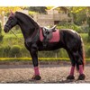LeMieux Suede Dressage Square Saddle Pads - English Saddle Pads