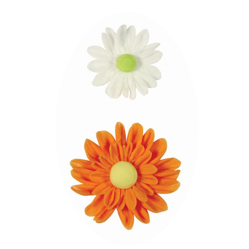 PME 103FF016 JEM Embossed Daisy Cutters, Set of 2, White,