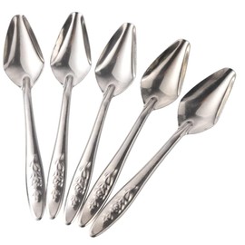 GANAZONO 5Pcs Portable Parrot Feeding Spoon Durable Bird Feeder for Cockatiels Parakeets Other Birds for Home Pet Stores