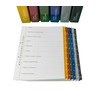 PLASTOREG Smidt GmbH Theme Ring Binder with Tabs / Dividers