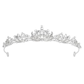 Amariver Silver Wedding Crown Crystal Tiara for Women Queen Crowns Princess Headband Rhinestones Small Tiaras for Bride Sparkle Hair Accessories for Birthday Prom Pageant Party
