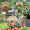5 Pack Mini Sea Urchin Shell Hanging Pot-Air Plant Holder