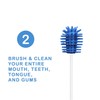 Fresh-Tips | Disposable Mini Toothbrush | Travel Toothbrush | Fresh