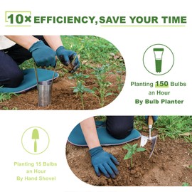 Haliaeetus Bulb Planter Tool, 6 inches Depth Mark Hand Bulb Planter, Non-Bending Stainless Steel Bulb Planter Digger, Garden Bulb Transplanter with Comfortable Wood Handle for Planting Tulip, Daffodil