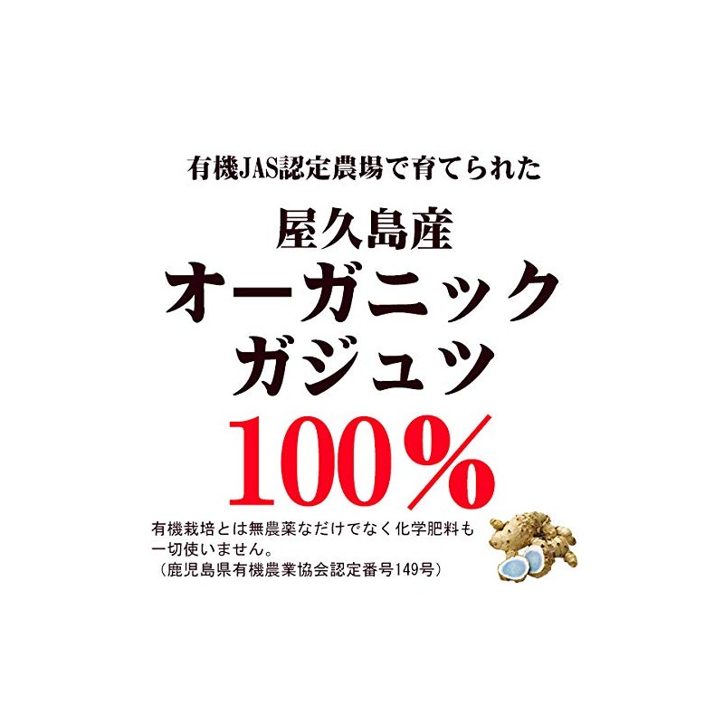 屋久島紫ウコン（ガジュツ）粉末（100g） [M便 1/3]