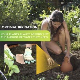 Bio Green HM Hydro Max S System - Plant Watering Devices - OYA Watering Pot for Healthy Plants & Efficient Conservation - Olla Watering System While on Vacation - 1 Liter / 34 oz - Brown, Small