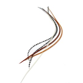5 Real Feather Hair Extensions with Rings/Loops (Mixed Naturals)