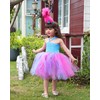 TYHTYM Girls Tutu Dresses Blue Handmade Tulle Clothing Princess Poppy