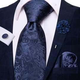 Hi-Tie Mens Tie Set Navy Blue Paisley Silk Woven Necktie with Lapel Pin Pocket Square Cufflinks Set for Wedding Party