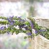 Outsidepride Hyssop - 2000 Seeds
